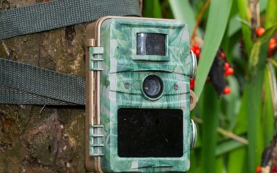 How to Choose the Right Trail Camera for Wildlife Photography & Fitness Motivation